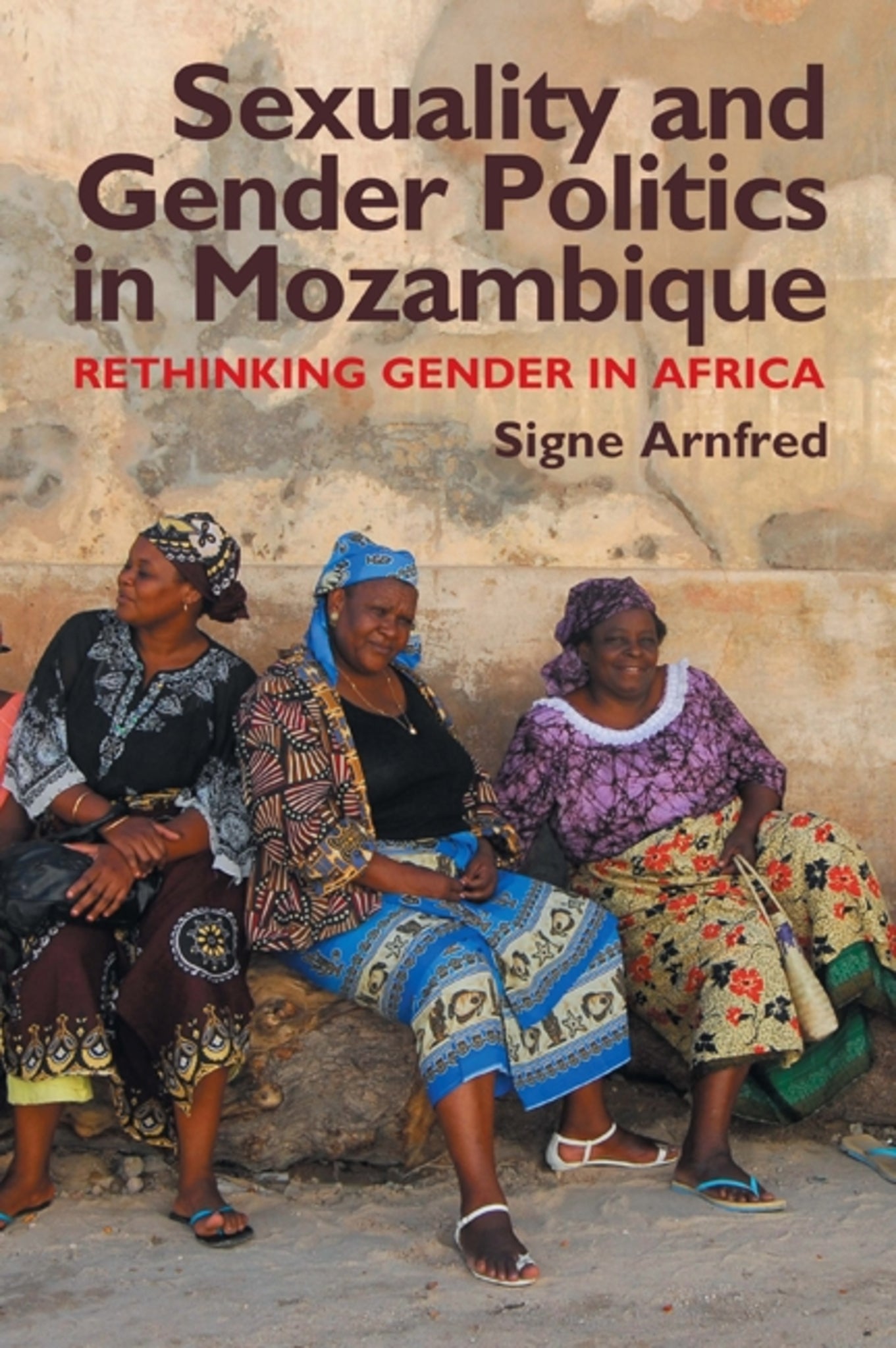 Cover image for Sexuality and Gender Politics in Mozambique ISBN 9781847010353